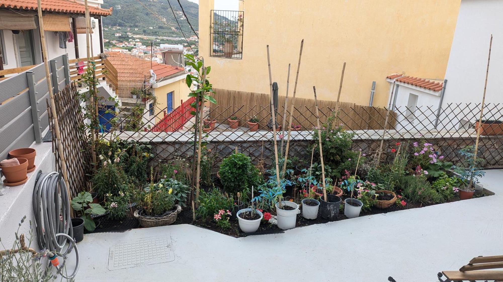 The Botanist Guesthouse Skopelos Town Exterior photo
