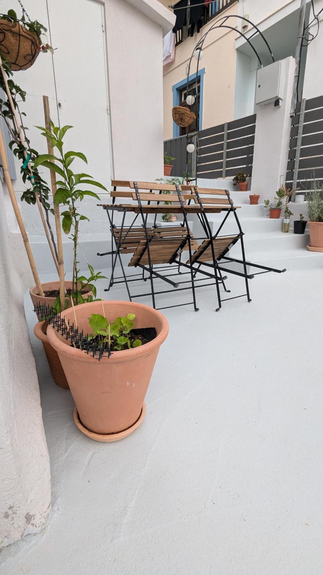 The Botanist Guesthouse Skopelos Town Exterior photo